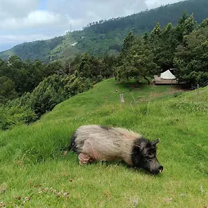 Arambha Ecovillage Tabua (Madeira)